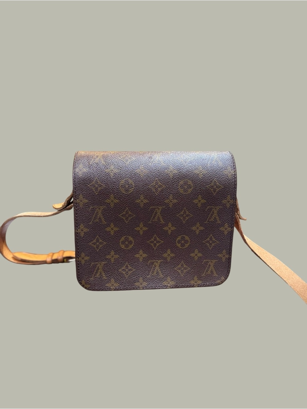Louis Vuitton Cartouchière MM, Dust Bag , Entrupy COA - Picture 2 of 10